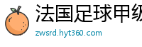 法国足球甲级联赛